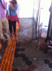 11225706_755796777872169_45249011_n